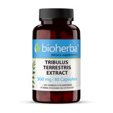 Extract de Tribulus Terrestris 300 mg - 60 capsule