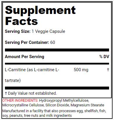 L-Carnitine Power - 60 capsule