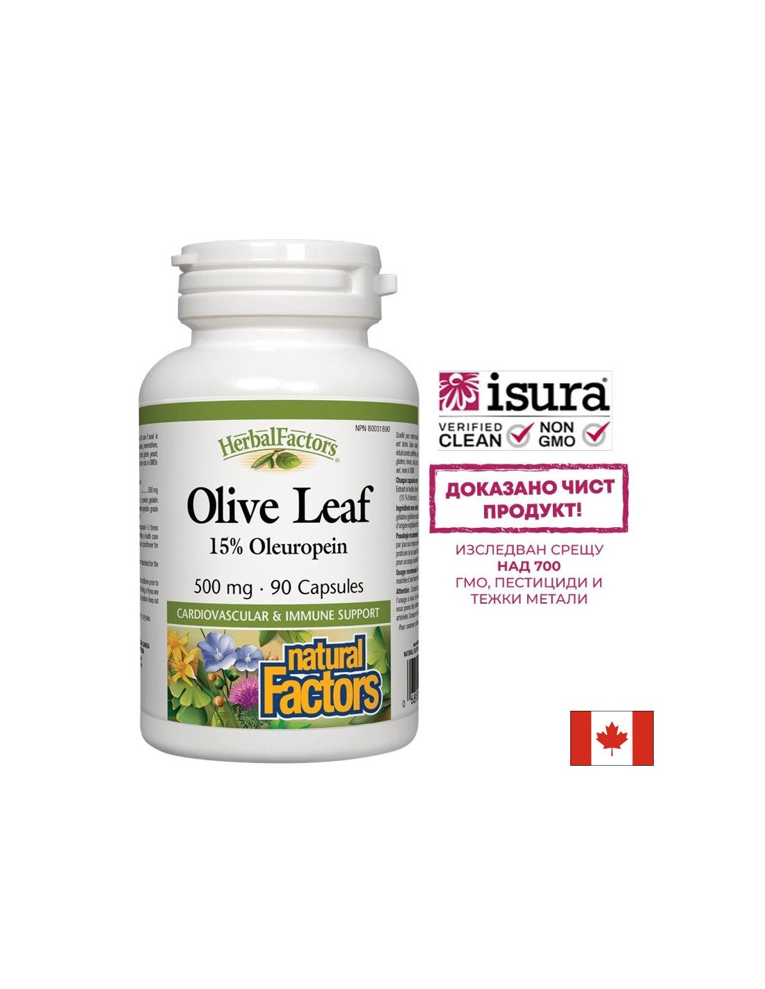 Olive Leaf 500 mg - 90 capsule