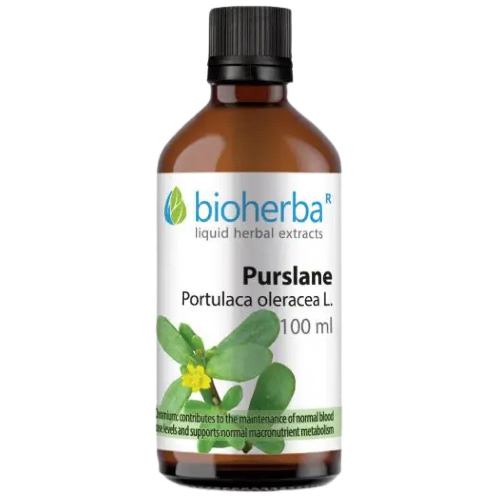 Tinctura Portulaca oleracea (purslane) - 100 ml