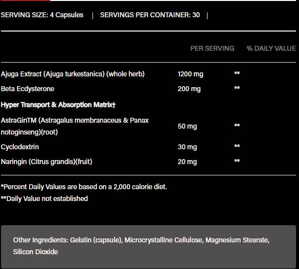 Turkesterone 1200 | cu Beta-Ecdysterone &amp; AstraGin - 120 capsule