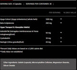 Turkesterone 1200 | cu Beta-Ecdysterone &amp; AstraGin - 120 capsule