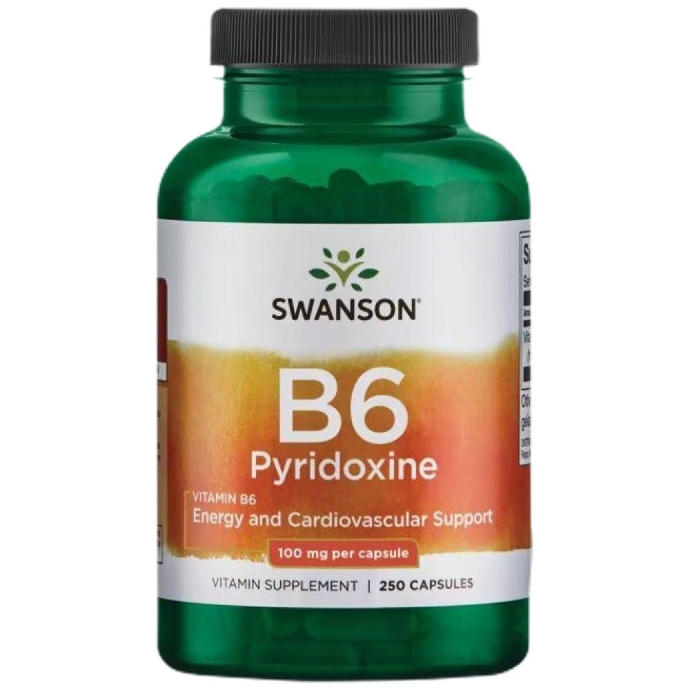 Vitamina B6 100 mg / Piridoxina - 250 capsule