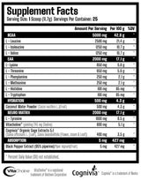 X Neuro | EAA, BCAA și Nootropic - 292,5 grame