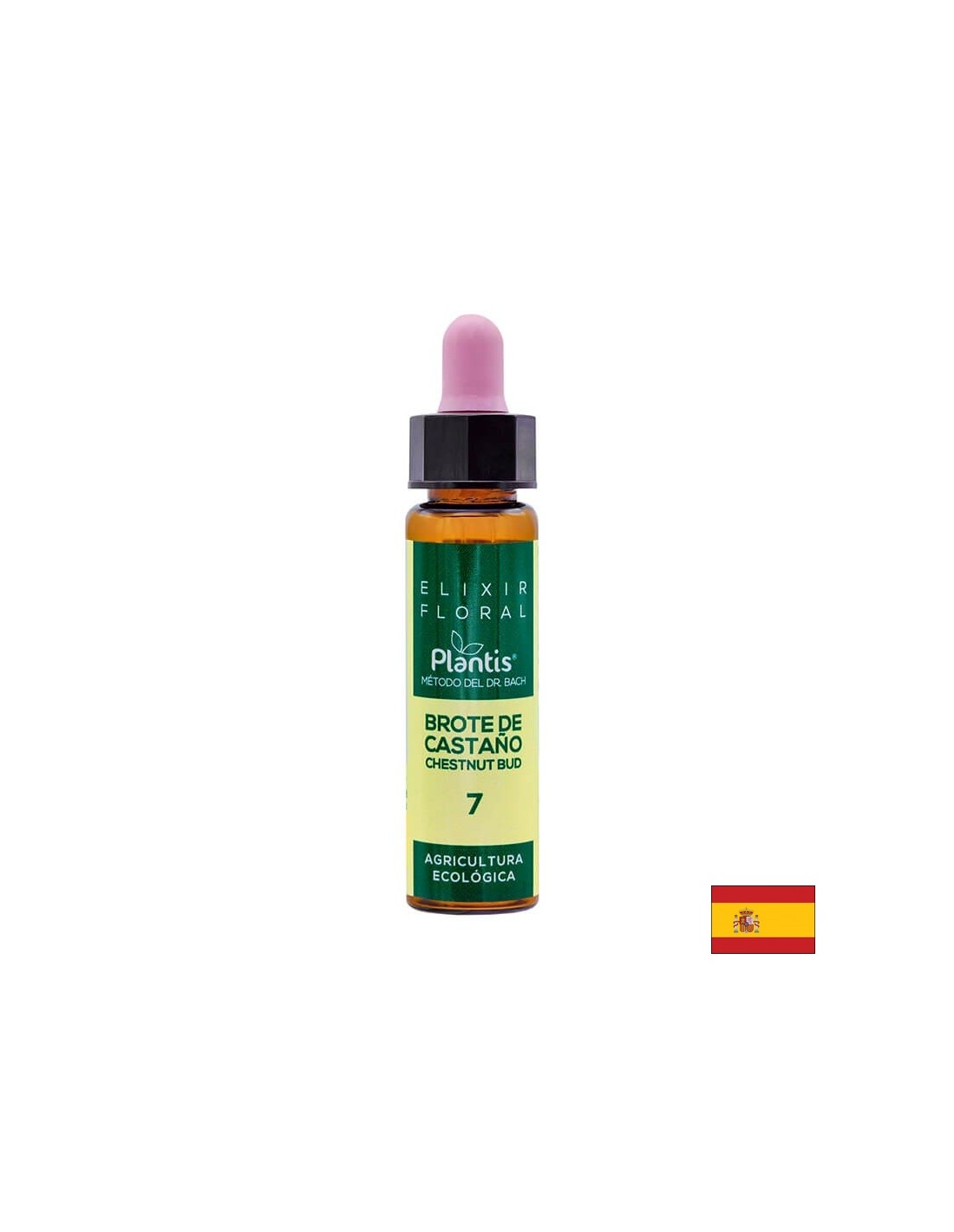 Brote de castaño (dar castan) Elixir Floral 7 - Elixir din flori de muguri de castan, 10 ml Artesania