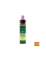 Brote de castaño (dar castan) Elixir Floral 7 - Elixir din flori de muguri de castan, 10 ml Artesania