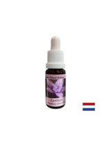 Oferă încredere - Esență de gențiană nr. 12, picături 15 ml
