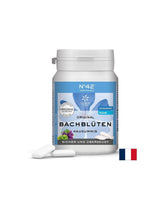 Dr. Bach Flower Essence Chews N°42 - Încredere și încredere în propriile capacități, 40 de mestecat cu aromă de afine