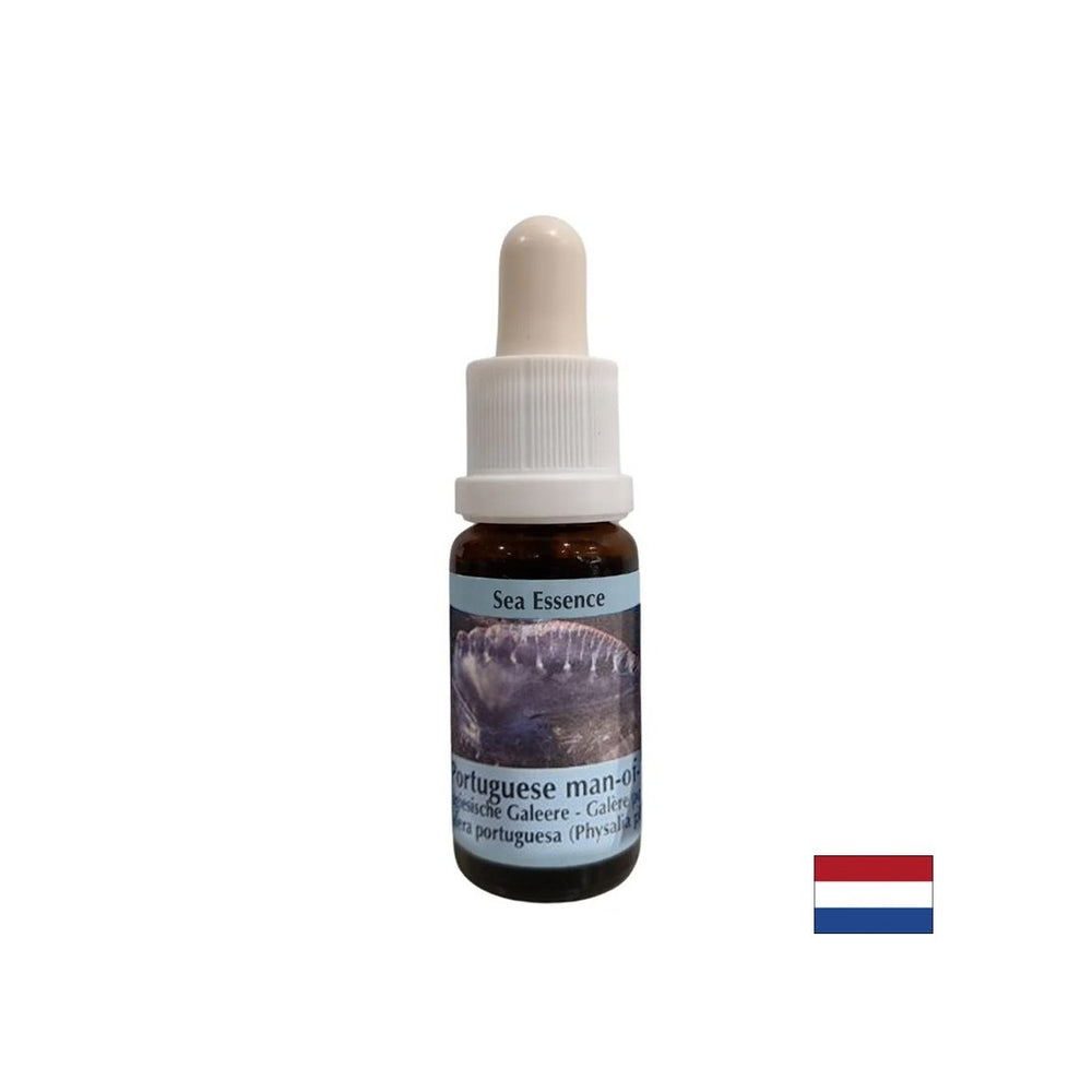 Detoxifiere - Esență Physalia (galeră portugheză) nr. 4, picături 15 ml