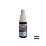 Detoxifiere - Esență Physalia (galeră portugheză) nr. 4, picături 15 ml
