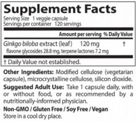 BEST Extra Strength Ginkgo 120 mg - 120 capsule