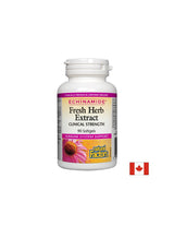 Echinamide Fresh Herb Extract Clinical Strength 250 mg - 90 capsule de gel