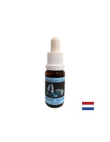 Echilibru emoțional - Esența de Amazonită Nr. 1, picături 15 ml