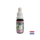 Promovează comunicarea - Esență de Iris de Mlaștină, picături 15 ml