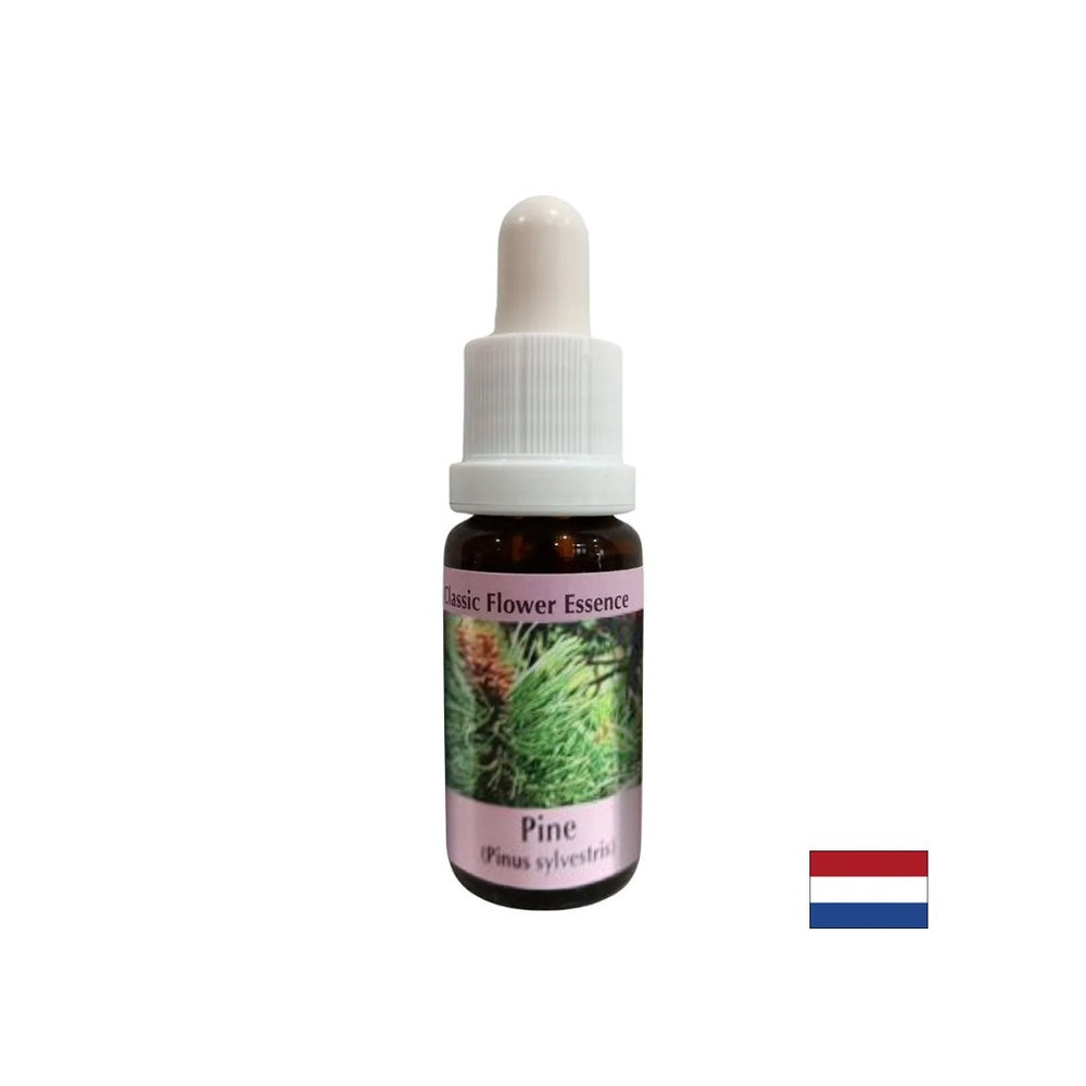 Când te simți vinovat - Essence Boron Nr. 24, picături 15 ml