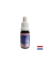 Pentru a te concentra asupra ta - Esență de cicoare nr. 8, picături 15 ml