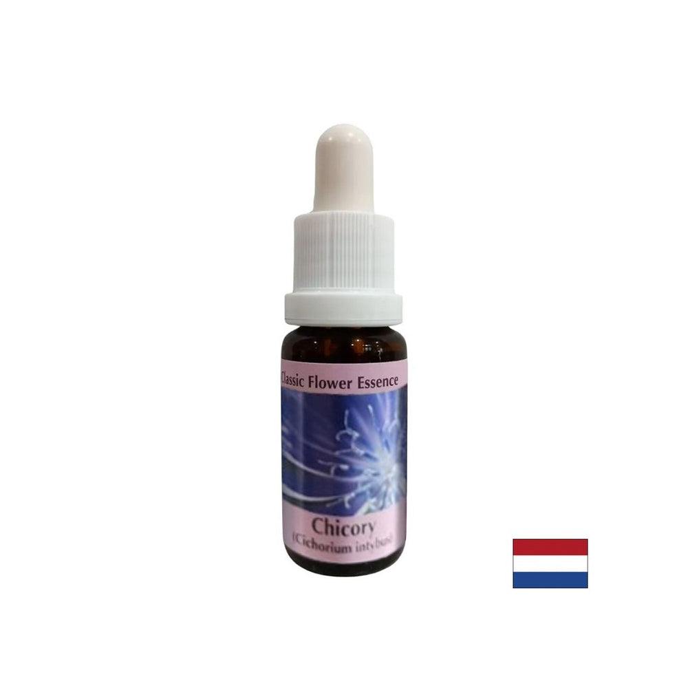 Pentru a te concentra asupra ta - Esență de cicoare nr. 8, picături 15 ml