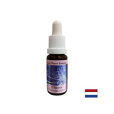 Pentru a te concentra asupra ta - Esență de cicoare nr. 8, picături 15 ml