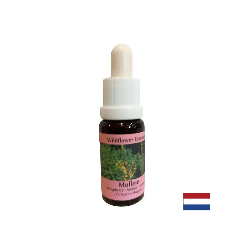 Susține munca în echipă și creativitatea - Lopen Essence nr. 29, picături 15 ml