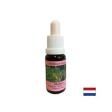 Susține munca în echipă și creativitatea - Lopen Essence nr. 29, picături 15 ml