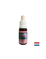 Stimulează voința și metabolismul - Esență de ceapă nr. 39, picături 15 ml