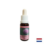 Stimulează voința și metabolismul - Esență de ceapă nr. 39, picături 15 ml