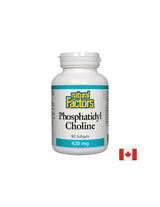 Fosfatidil Colina 420 mg - 90 capsule moi