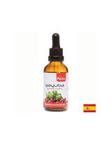 Gayuba / Urs (tinctură) / Sănătate urinară, 50 ml Artesania