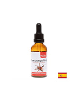 Harpagofito/ Gheara diavolului (tinctura)/ Pentru dureri articulare, 50 ml Artesania