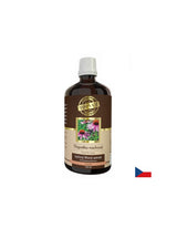 Imunitate - Echinacea, tinctură de 100 ml