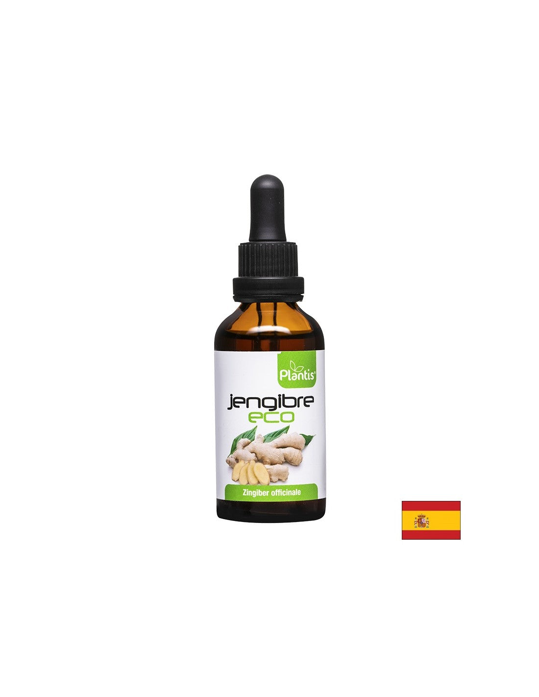 Jengibre Eco – Ghimbir (tinctură), 50 ml Artesania