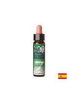 Ulm, măslin și carpen - Elixir floral pentru vitalitate - Picăturile combinate Dr. Bach, 10 ml