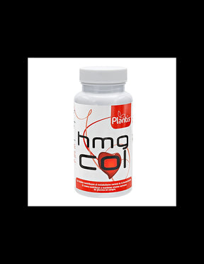 To normalize cholesterol - hmg col Plantis®, 60 capsules - Nutra Best Europe