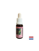 Promovează relaxarea și restabilește echilibrul - Esență de porumb nr. 32, picături 15 ml