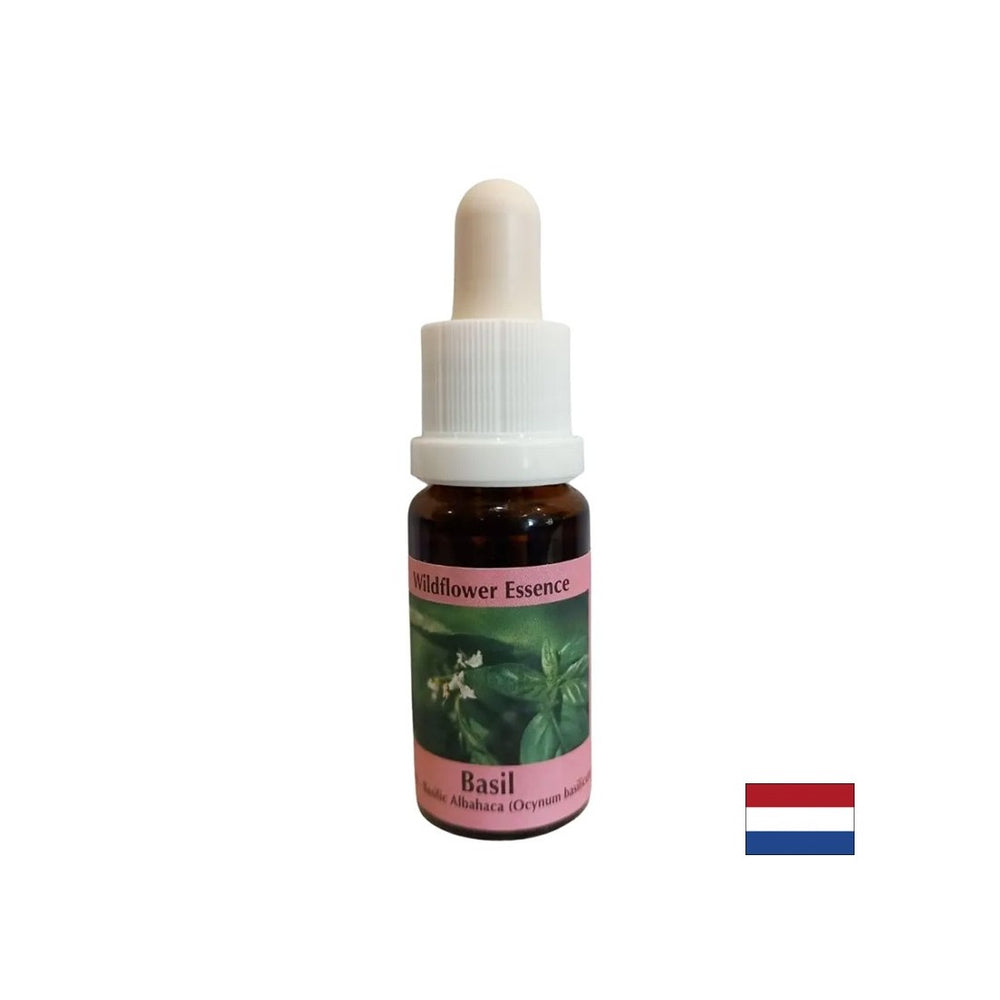 Unește centrii energetici, pentru o digestie bună - Esență de busuioc nr. 23, picături 15 ml