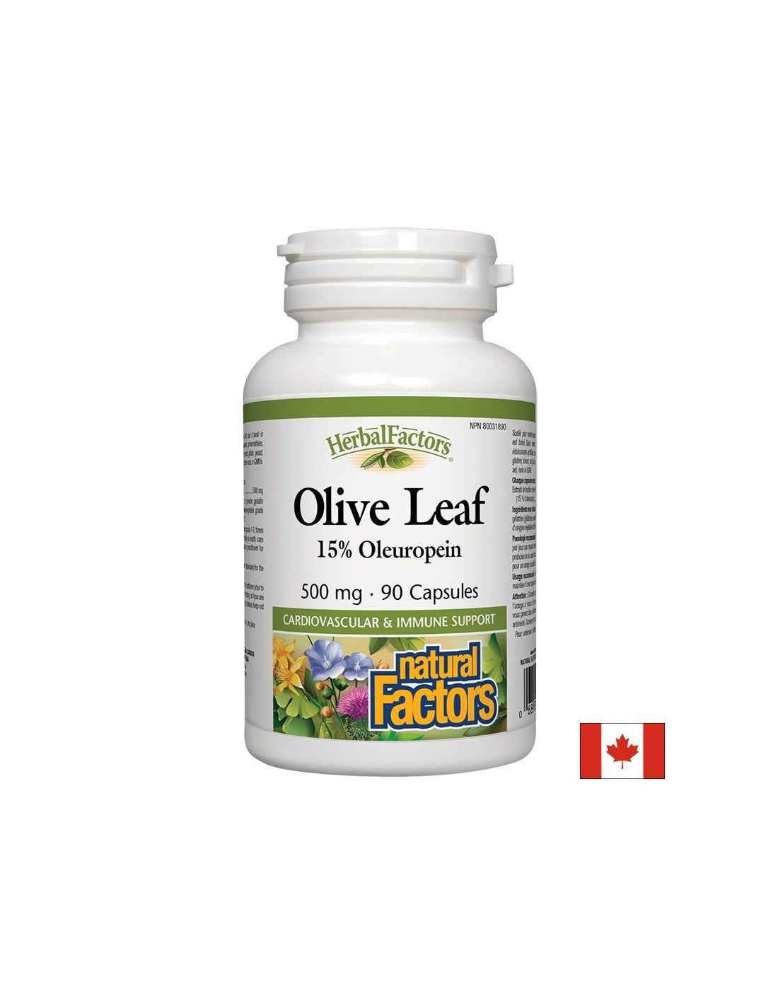 Olive Leaf 500 mg - 90 capsule