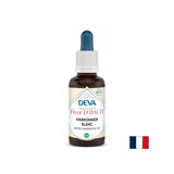 Memorie și concentrare - Castan sălbatic, picături Bach nr. 35, 15 ml
