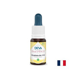 Prim ajutor în situații de criză, esențe florale, picături conform metodei Bach, 15 ml