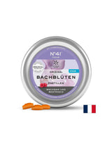Pastile Dr. Bach - N°41 Focus, 50 g (~ 40 bucati) Lemon Pharma