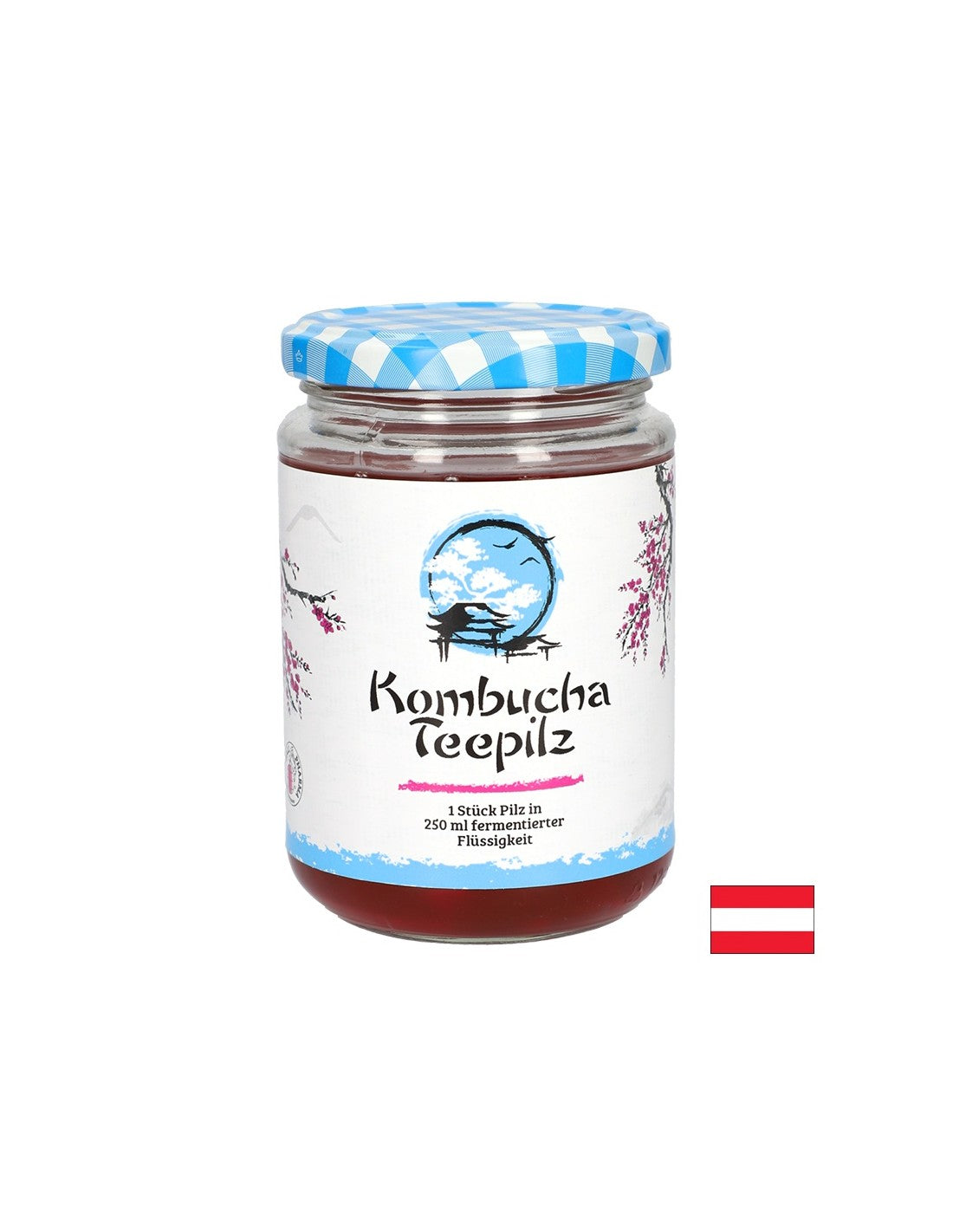 Intareste imunitatea - Buretele de ceai Kombucha cu ceai de fructe fermentate, 200 ml