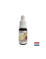 Ajută la înțelegerea semnificației banilor - Angel Essence Nr. 1, picături 15 ml