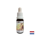 Ajută la înțelegerea semnificației banilor - Angel Essence Nr. 1, picături 15 ml