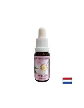Increases activity and motivation - Rosehip Essence No. 37, drops 15 ml - Nutra Best Europe