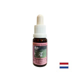 Purifică și susține schimbările nutriționale - Esența de crin alb nr. 38, picături 15 ml