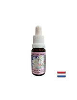 Pentru gânduri intruzive - Esență de castan de Indias nr. 35, picături 15 ml