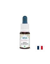 Pentru stres și șoc - Steaua din Betleem (Crow's Onion), picături Bach, 15 ml