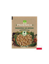 Grâu (semințe germinate) organic, 50 g Dary Natury