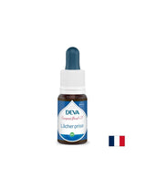 Relaxare, esențe florale, picături metoda Bach nr. 7, 15 ml