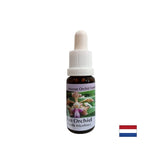 Creează stare de spirit și bucurie - Essence Cheerful Orchid No. 11, picături 15 ml