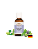 Schlaf Gut mit Hopfen Tropfen / Picături pentru somn, Tinctură, 30 ml Bärbel Drexel